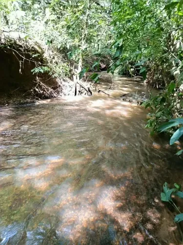 Chácara em Crominia 