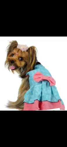Vestido Musa/ Chique: TAM: M