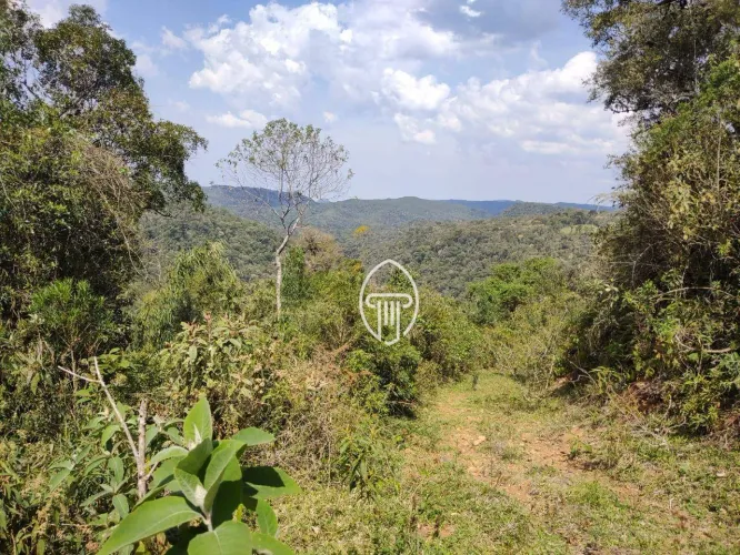 Sítio à venda, 1076900 m² por R$ 1.550.000,00 - Centro - Mallet/PR