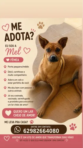 Doação responsável