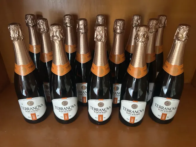 Espumante Terra Nova Brut