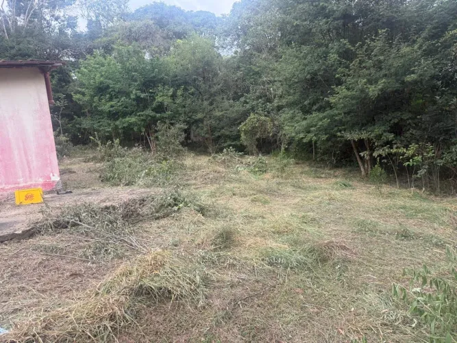 Lote Vianopolis 
