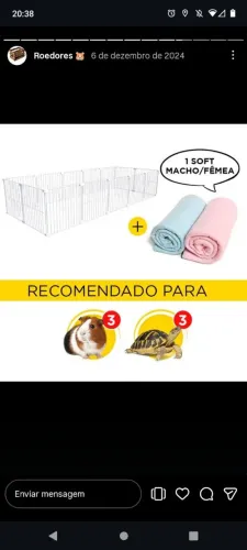Cercadinho para coelho e porquinho