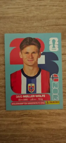 Figurinha Panini Copa do Mundo 2026 David Moller Wolfe