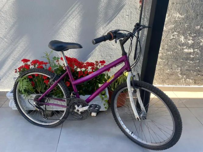 Bike Aro 24