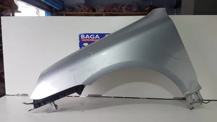 Paralama Esquerdo Porsche Cayenne 2003 2004 05 06 07 08 09 BG914