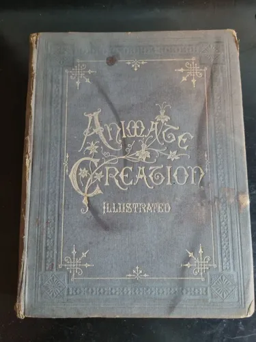 Livro raro biologia 1885! Tamanho grande.