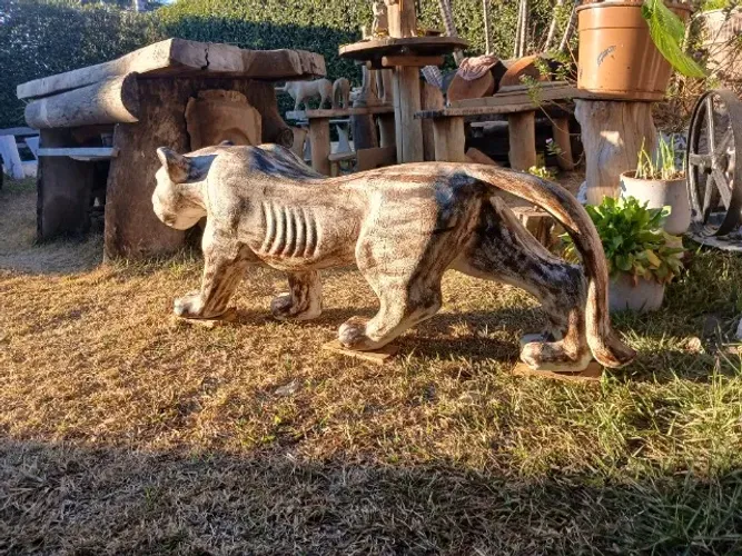 Pantera 