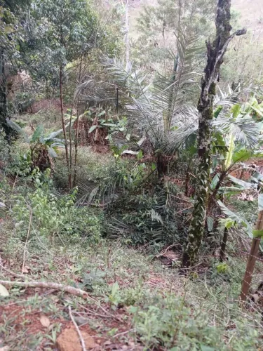 Sitio Alfredo Chaves