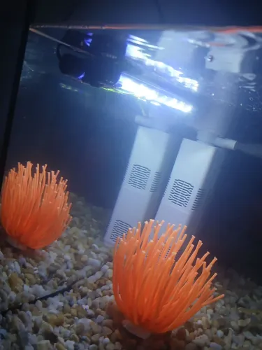 Aquario 80L