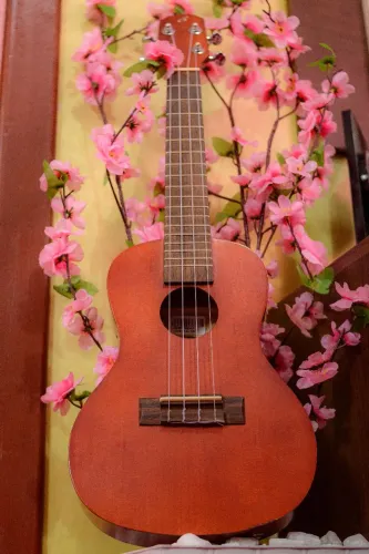 Ukulele concert