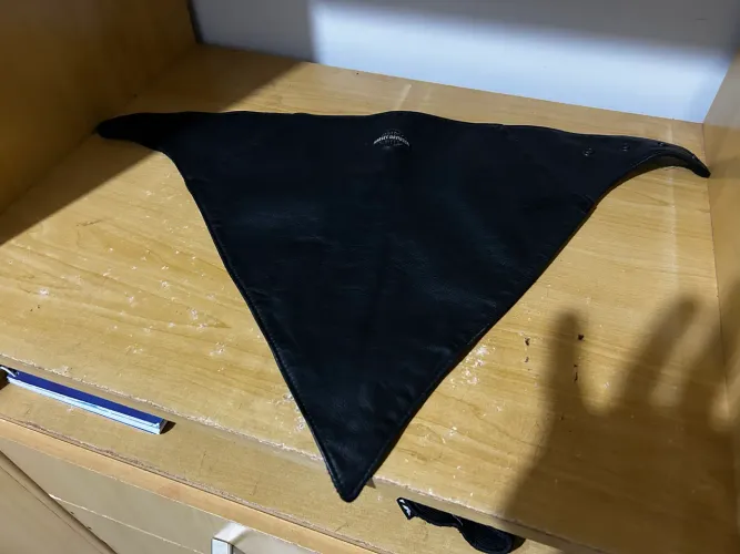 Balaclava Harley Davidson
