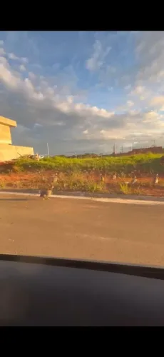 Terreno 250m2 em condomínio fechado.