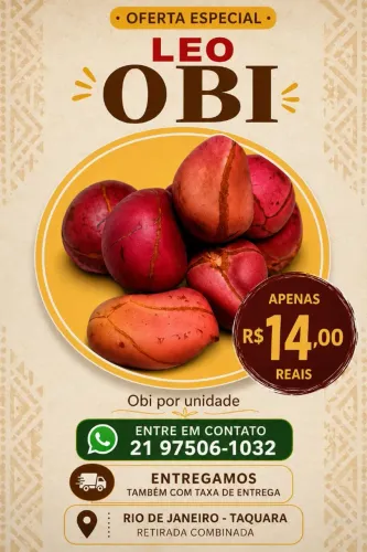 Obi africano quatro gomos