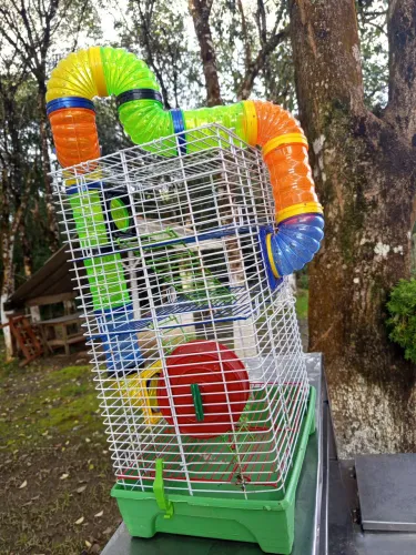 Gaiola