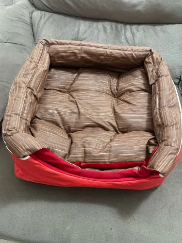 Casinha toca para Pet