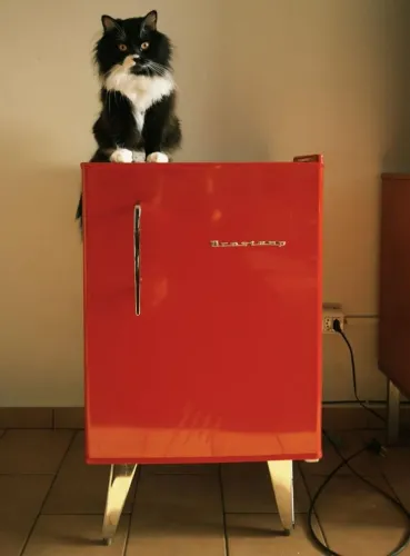 Frigobar Brastemp Retrozinha 78L