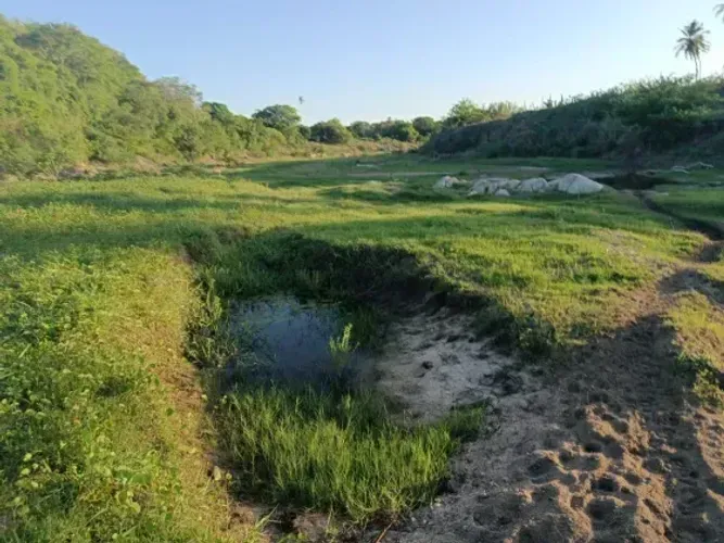 Granja com 20 hectares em Monte Alegre no distrito de comum cortada apelo rio e plantada