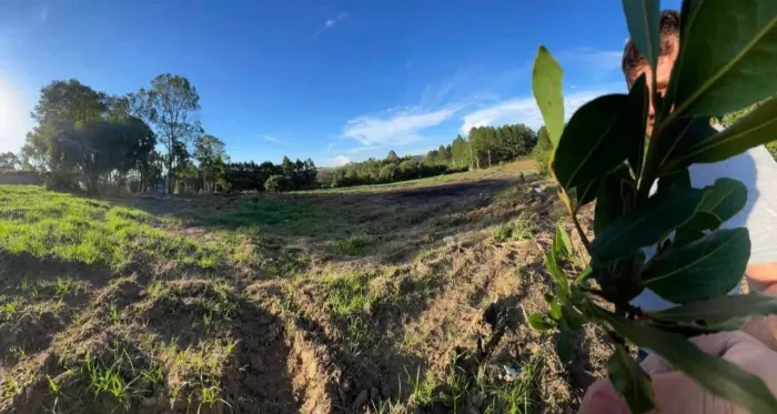 Vendo 36mil metros COM ESCRITURA 200mt do asfalto em Piedade.