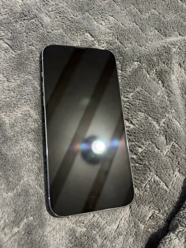 IPHONE 13 PRO MAX 256GB