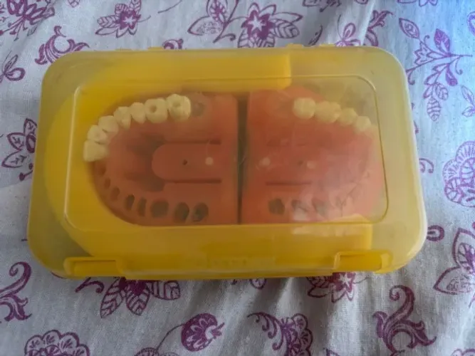 Manequim Endodôntico Pronew Refil USADO - Odontologia