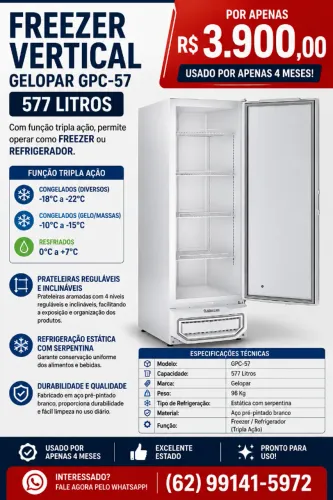 FREEZER VERTICAL