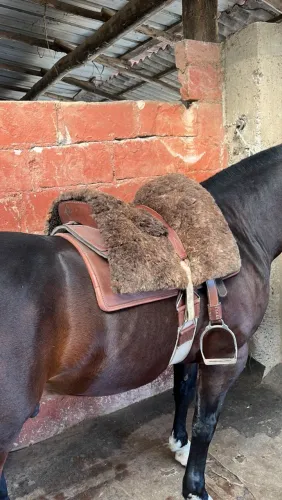 Vende-se arreio completo