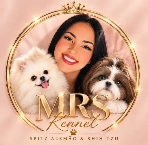 Vendas de Shih Tzu e Lulu da pomerânio ( Mrs_kennel_ )