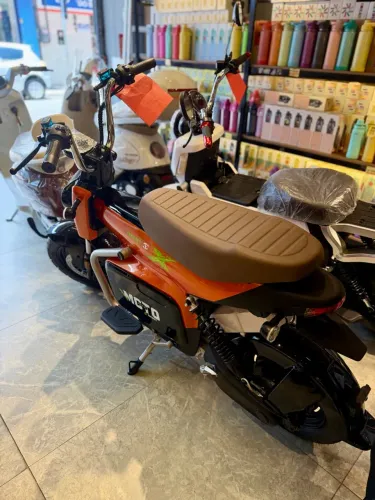 Moto elétrica