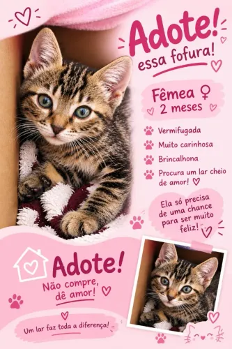 Gatinha tigrada para adoção responsável