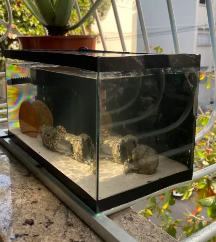 AQUARIO 15 LITROS