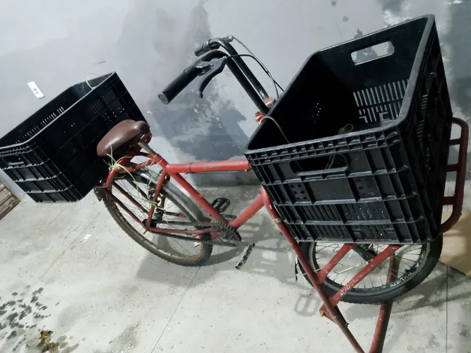Bicicleta cargueira