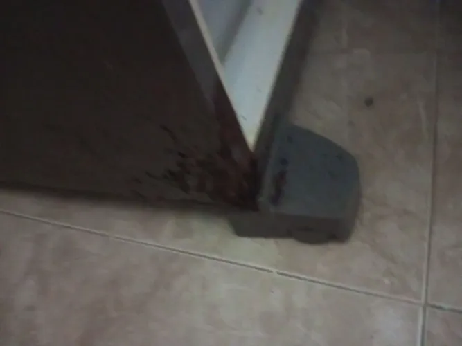 Uma geladeira duplex precisando de um pequeno retoque mas dentro e até mais coisas estão