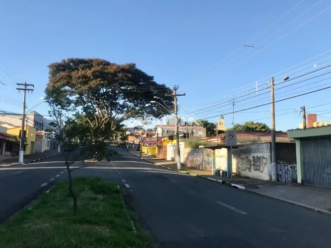 terreno - Jardim Leonor - Campinas