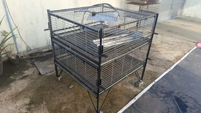 Gaiola para Pintinhos