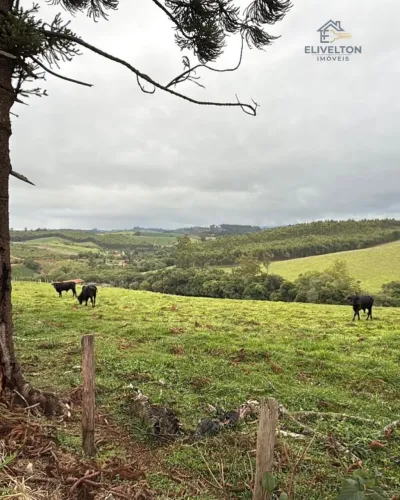 Terreno com Vista panorâmica em Toledo/Mg
