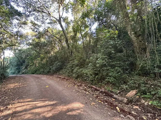 OPORTUNIDADE EXCLUSIVA - SÍTIO EM TAQUARA-RS