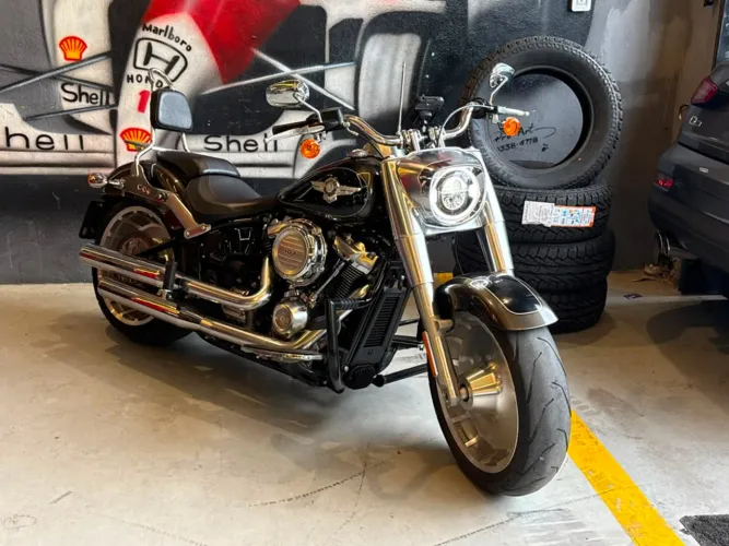 Harley-Davidson FAT BOY Gasolina Manual