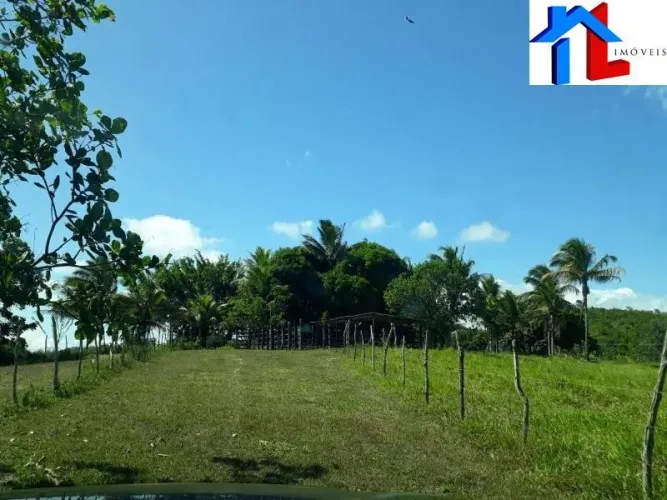 VENDO Fazenda, Itanagra-Ba, 25,77 Ha, Escriturada, 130km de Salvador, 2,5 Ha Irrigado, cul