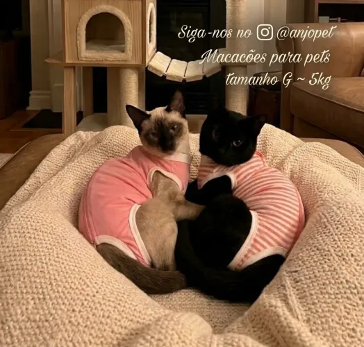 Macacão pós cirúrgico para gatos e cachorros