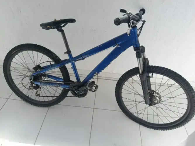 Bike Viking