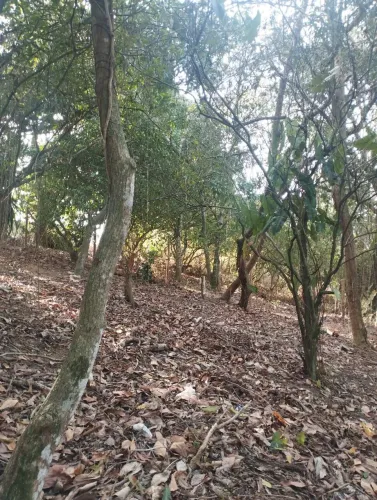 Vendo Chácaras em Serra Dourada Escriturado e Registrado