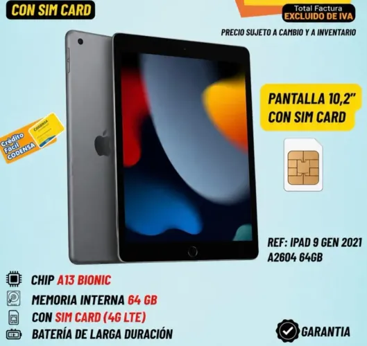 iPad 9 cinza
