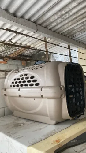 CASINHA DE CACHORRO N 3