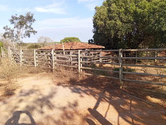 Fazendinha 29 Hectares /Pastagem reservada,Casa 4 quartos/Escriturado ...