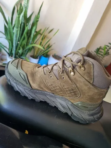 Bota
