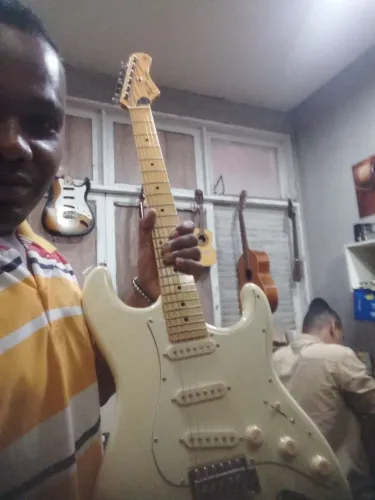 Guitarra TG 530