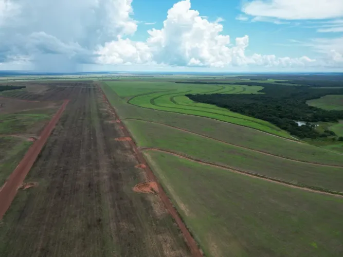 Fazenda de arrendamento 1.900hec plantando em Canarana MT.