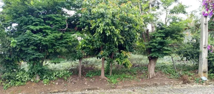 AREA CENTRAL EM GOAINA MG
