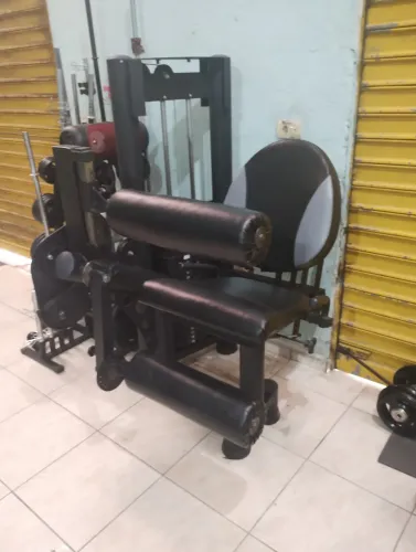 Cadeira extensora e flexora(entrego) 4700$ 